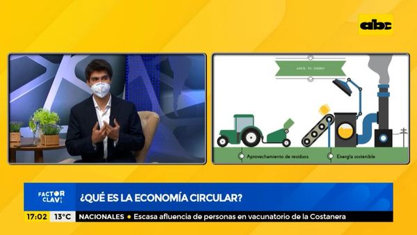 La economía circular genera un impacto positivo en las empresas - Nacionales - ABC Color