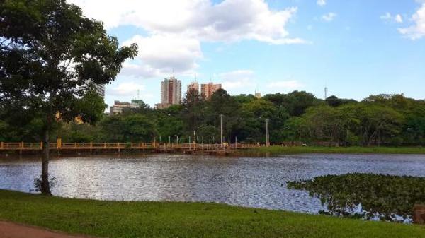 Ciudad del Este tiene una enorme riqueza faunística mediante el Lago de la República: hay 83 especies de animales