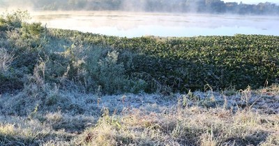 La Nación / Meteorólogos no descartan la probabilidad de que caiga nieve en Paraguay