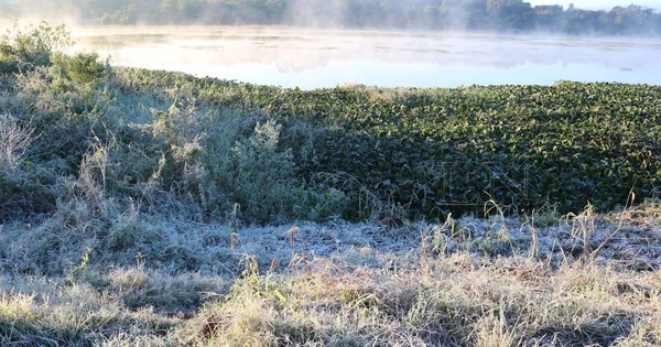 La Nación / Meteorólogos no descartan la probabilidad de que caiga nieve en Paraguay