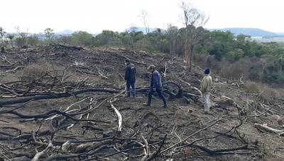 Intervienen una propiedad por tala y quema de árboles nativos en Ybycuí | Ñanduti