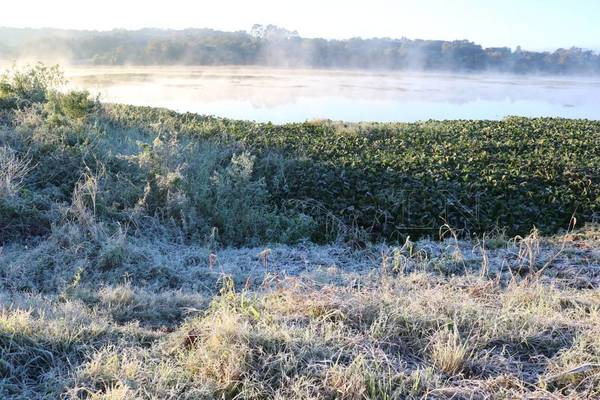 Meteorólogos no descartan la probabilidad de que caiga nieve en Paraguay - Noticiero Paraguay