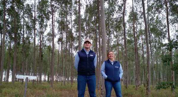 Invitan a día de campo forestal en Neuland