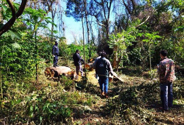 Mades pide urgente intervención de Fiscalía ante ocupaciones en la Reserva San Rafael - Nacionales - ABC Color