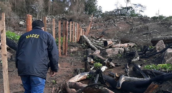 Ybycuí: intervención por un hecho de tala y quema de árboles nativos