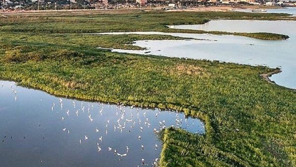 Bahía de Asunción: Concejales cedieron terreno a astillero ubicado en reserva natural