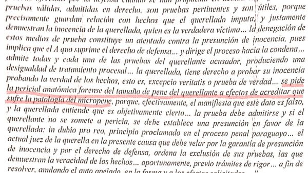 Tiene "miembro viril de 7 cm", dijo abogada acusada de calumnia