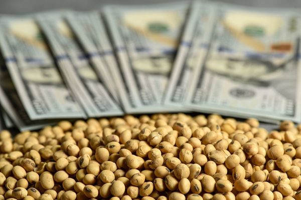 Ante perspectiva de fortalecimiento del dólar, precio de la soja comienza a contraerse - MarketData
