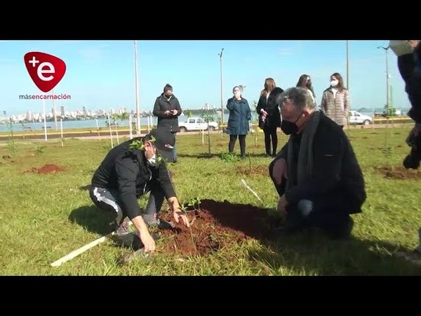 PARADAS DE LAS AZUCENAS ES UNA REALIDAD EN ENCARNACIÓN