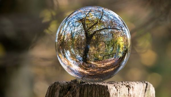 Reconocimiento Verde: hay tiempo hasta el domingo para inscribir las buenas prácticas empresariales