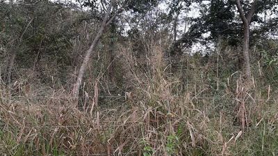 Matan a un hombre a balazos y a puñaladas en Arroyos y Esteros