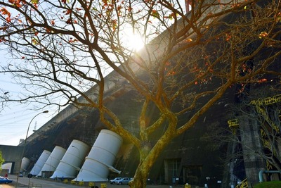 ITAIPU conmemora el Día Mundial de la Diversidad Biológica con protección y conservación de la naturaleza.