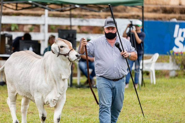 “El Brahman de Paraguay está posicionado en el Top 3 del mundo, si no es el mejor”