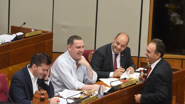 Panorama en Senado sobre veto al blindaje es incierto