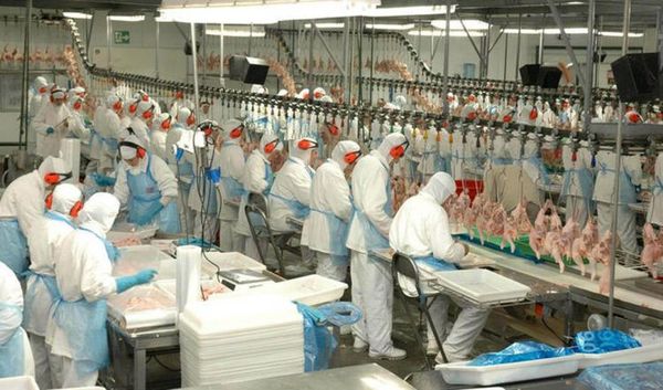 Marfrig construirá su frigorífico en Yby Yaú, tras acuerdo