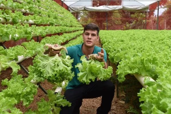 Joven de Villarrica alienta a ser emprendedores