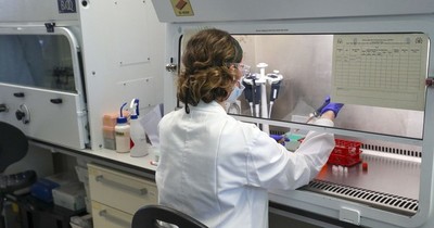 La Nación / El COVID-19 pone la integridad científica en el punto de mira