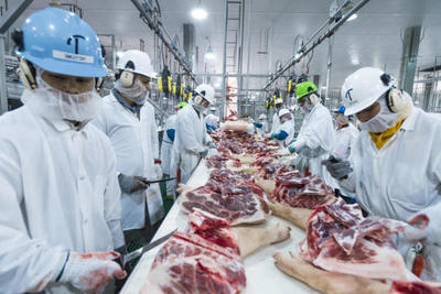 Marfrig Global Foods construirá un frigorífico en Concepción | OnLivePy