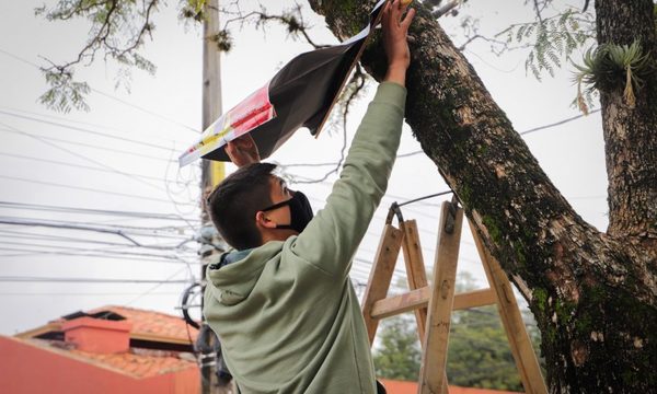 Retiran propaganda electoral con miras a las internas