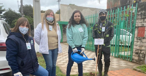 La Nación / Ofrecen plantar árboles gratis en veredas de vecinos de Gran Asunción