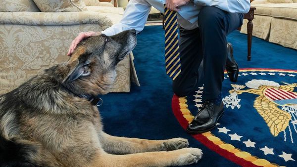 Familia de Joe Biden anuncia el fallecimiento de su perro Champ
