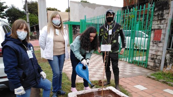 En el Día Nacional del Árbol ofrecen plantar 15 variedades en veredas