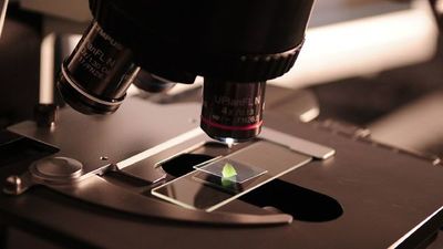 Las mujeres patentan inventos más centrados en la salud femenina