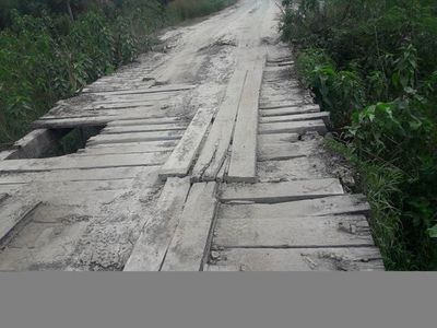 Precarios puentes de madera son verdaderas trampas mortales en Alto Paraguay - Nacionales - ABC Color