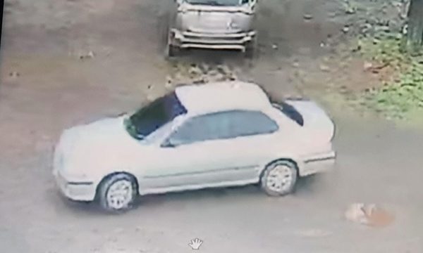 Tortoleros roban dinero y celulares de vehículo