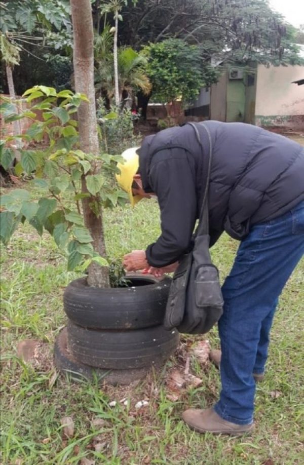 Instan a seguir con la eliminación de criaderos de mosquitos | Ñanduti