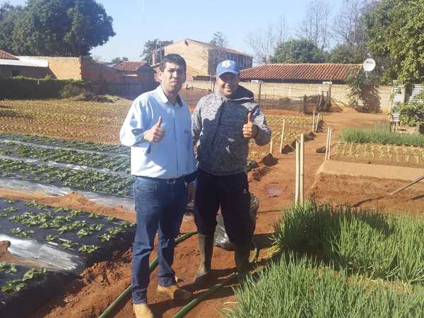 CAH cuenta con apoyo financiero para que jóvenes agricultores cultiven hortalizas | .::Agencia IP::.