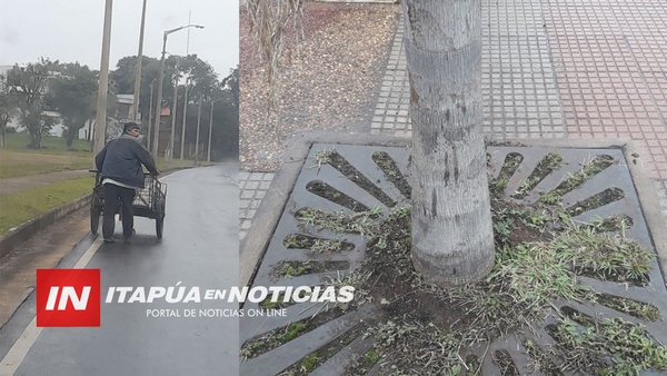 SORPRENDEN A UN CARRITERO HURTANDO REJILLAS EN EL PASEO DE LOS TEROS Y ESTO CONFESÓ.