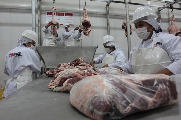 Rediex busca aumentar y diversificar la exportación de la carne paraguaya | .::Agencia IP::.