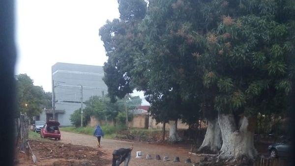 Denuncian a vecino por cerrar calle y cortar árboles