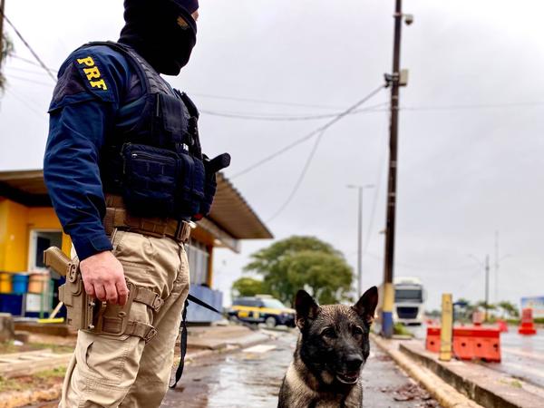 Iniciaron «megaoperacion» contra el narcotráfico en Foz