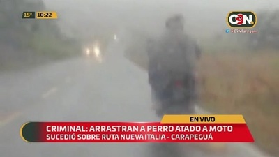 Criminal: Arrastraron a perro atado a una moto - C9N