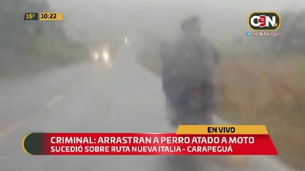 Criminal: Arrastraron a perro atado a una moto - C9N