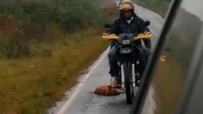 Maltrato Animal: Identifican al señor que arrastró a un perro