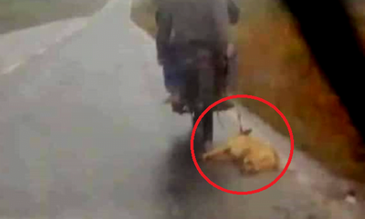 Identifican al hombre que habría arrastrado a un perro - Noticiero Paraguay