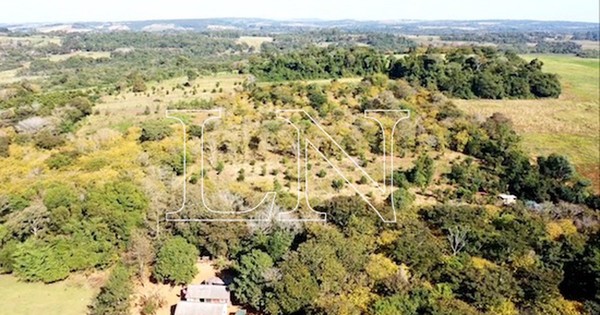 La Nación / Piden garantizar la seguridad y conservación de tierras de indígenas en Parque San Rafael