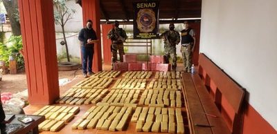 Confiscan 1.573 kilos de marihuana en procedimiento desplegado en Canindeyú | Ñanduti