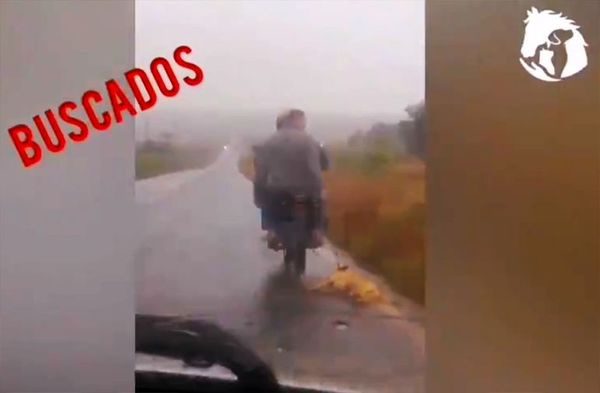 Perro arrastrado por moto: Dueño asegura que el animal ya estaba muerto - Nacionales - ABC Color