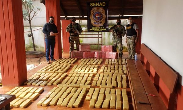 Senad confisca más de 1.500 kilos de marihuana en Canindeyú