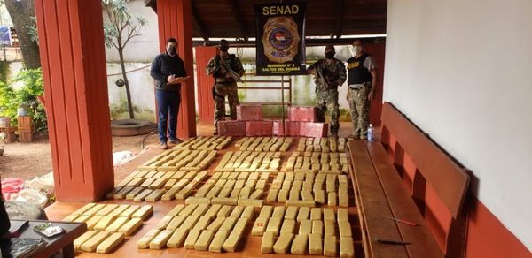 Más de 1.500 kilos de marihuana fueron confiscados por la SENAD en Canindeyú