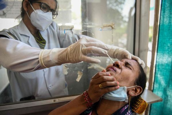 Reportan otras 106 muertes por coronavirus y 1.746 nuevos contagios - Nacionales - ABC Color