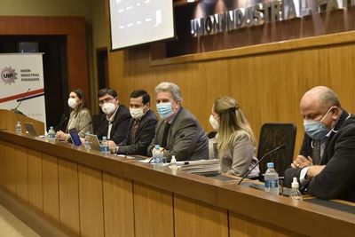 Titular de la ANDE expuso el Plan Maestro ante la Unión Industrial Paraguaya - Nacionales - ABC Color