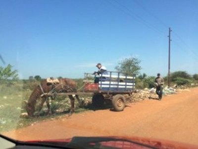 Crónica / Cazarán y castigarán a los “tirabasura” ndaje