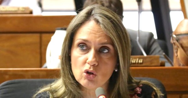 La Nación / Diputada denuncia que “casi le vaciaron” su tarjeta de crédito con compras ilegales