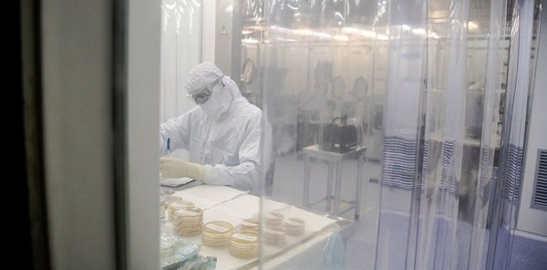 Coronavirus: detectan una nueva variante en Río de Janeiro - ADN Digital
