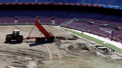 Diario HOY | El Barcelona renueva el césped del Camp Nou